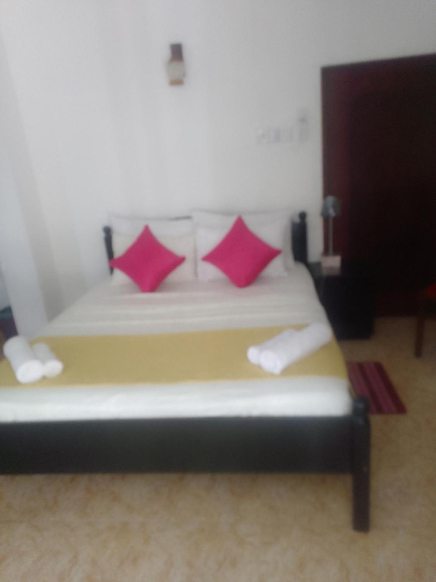 Steur Villa Негомбо Екстериор снимка