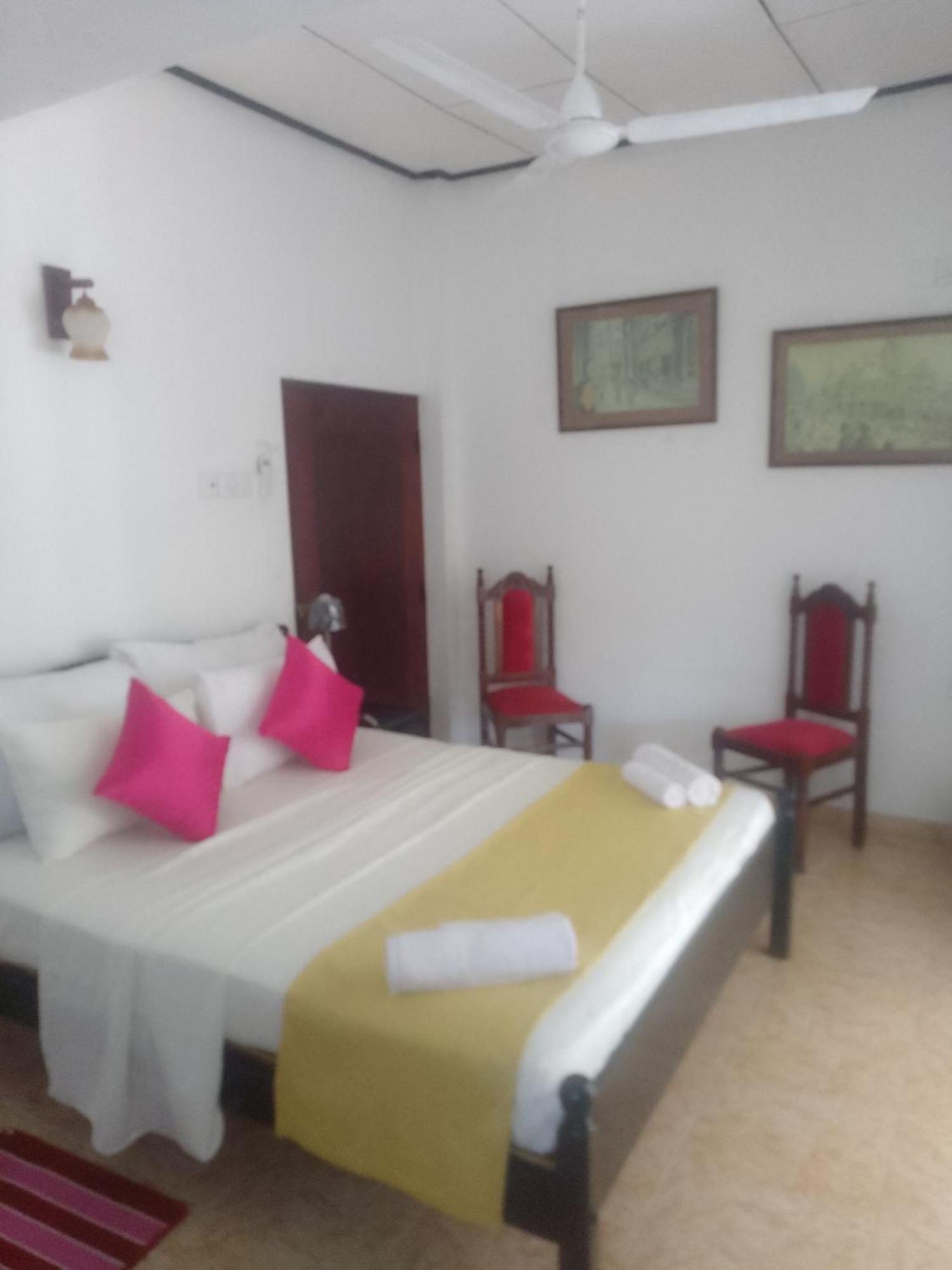 Steur Villa Негомбо Екстериор снимка
